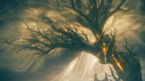 Decay (Elden Ring: Shadow of the Erdtree)