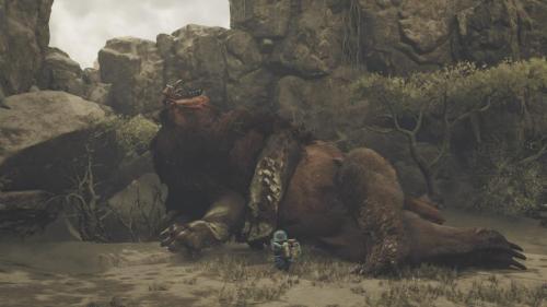 Doshaguma-Palico