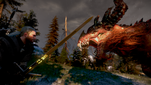 Im_Angesicht_des_Wyvern